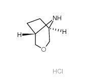 3-氧杂-8-氮杂双环[3.2.1]辛烷盐酸盐,3-Oxa-8-azabicyclo[3.2.1]octane hydrochloride