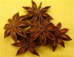 八角茴香油,Star anis oil