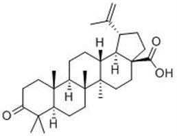 白桦脂酮酸,Betulonic acid