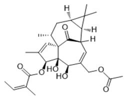 巨大戟醇-3-O-当归酸-20-乙酸酯,20-O-Acetylingenol-3-angelate