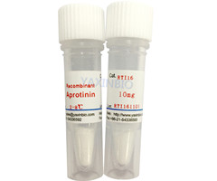 重组抑肽酶,Recombinant Aprotinin