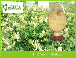 金银花提取物绿原酸,HoneySuchle Flowers Extract chlorogenic acid
