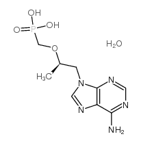 9-[(R)-2-(磷酰甲氧基)丙基]腺嘌呤,R-PMPA