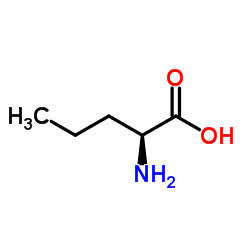 L-正缬氨酸,L-Norvaline