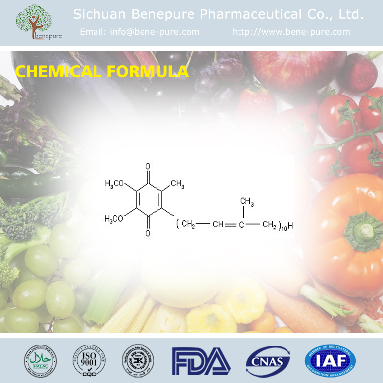 輔酶Q10,COENZYME Q10