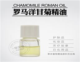 洋甘菊精油,Chamomile Roman Oil