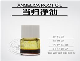 当归净油,Angelica root Oil