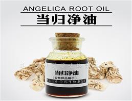 当归净油,Angelica root Oil