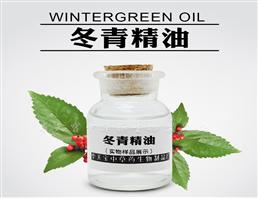 冬青油,Wintergreen Oil