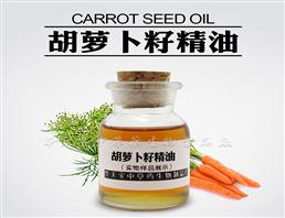 胡萝卜籽精油,Carrot seed Oil