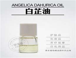白芷精油,Angelica Dahurica Oil