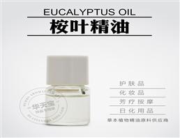 桉叶精油,Eucalyptus Oil