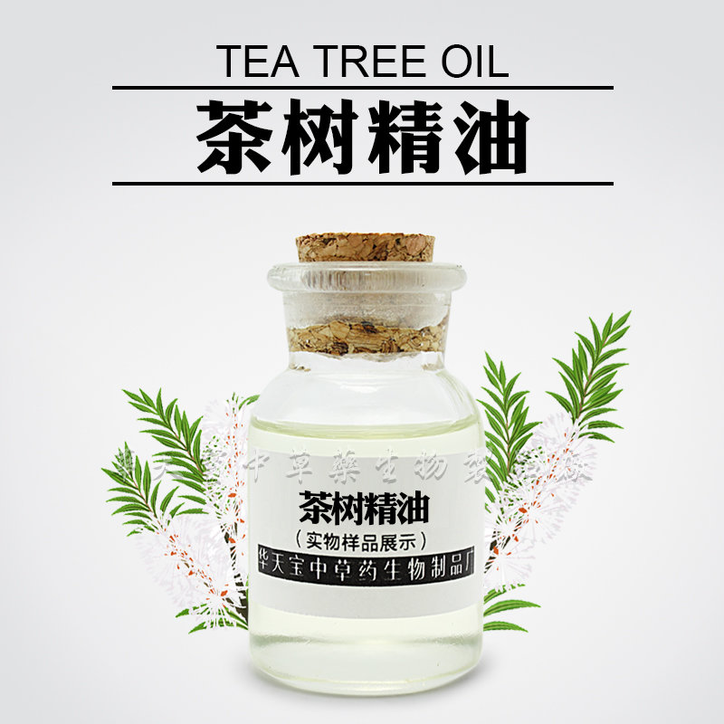 茶树精油,Tea Tree Oil