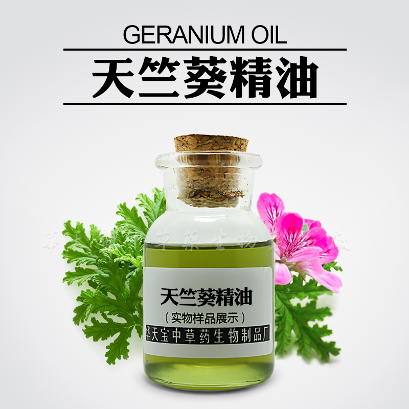 天竺葵精油,Geranium Oil