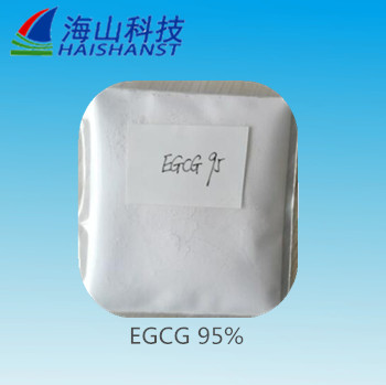 (-)- 表没食子儿茶素没食子酸酯 (EGCG),(-)-Epigallocatechin gallate  EGCG
