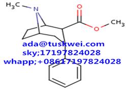 Troparil;WIN 35,065-2;β-CPT;-2β-Carbomethoxy-3β-phenyltropane ada@tuskwei.com whatsapp;+08617197824028