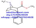 Troparil;WIN 35,065-2;β-CPT;-2β-Carbomethoxy-3β-phenyltropane ada@tuskwei.com whatsapp;+08617197824028