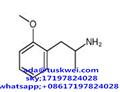 1-(2-methoxyphenyl)propan-2-amine;1-[4-(2-methoxyphenyl)piperazin-1-yl]propan-2-amine;(2R)-1-(2-METHOXYPHENYL)PROPAN-2-AMINE pictures