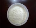 High Purity Theobromine manufacturer CAS NO.83-67-0 pictures