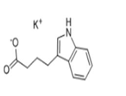 INDOLE-3-BUTYRIC ACID POTASSIUM SALT