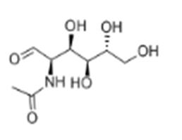 N-Acetyl-D-Glucosamine