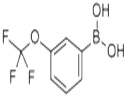 3-Trifluoromethoxyphenylboronic acid
