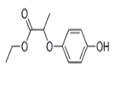 ethyl 2-(4-hydroxyphenoxy)propionate