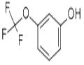 2-Trifluoromethoxyphenol