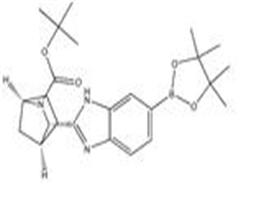 (1R,3S,4S)-2-tert-Butyl-3-(6-(4,4,5,5-tetramethyl-1,3,2-dioxaborolan-2-yl)-1h-benzo[d]imidazol-2-yl)