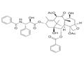 Paclitaxel 