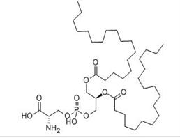 Phosphatidylserine