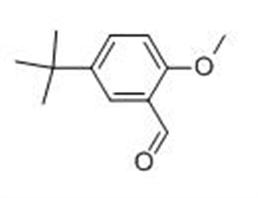5-(TERT-BUTYL)-2-METHOXYBENZENECARBALDEHYDE