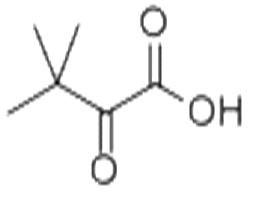 3,3-Dimethyl-2-oxobutyric acid