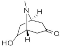 (+/-)-exo-6-Hydroxytropinone