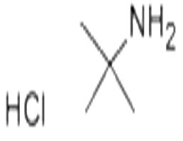 2-AMINO-2-METHYLPROPANE HYDROCHLORIDE