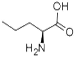 L-Norvaline