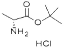 D-Alanine tert-butyl ester hydrochloride