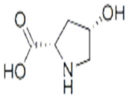 cis-4-Hydroxy-L-proline