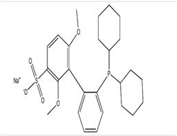 2'-Dicyclohexylphosphino-2,6-dimethoxy-3-sulfonato-1,1'-biphenyl hydrate sodium salt (water soluble SPhos), min. 98%