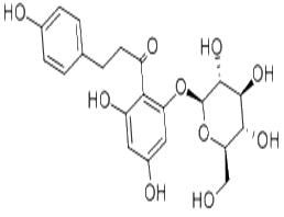 Phlorizin