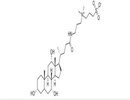 3-((3-Cholamidopropyl)dimethylammonium)-1-propanesulfonate