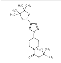 tert-Butyl 4-[4-(4,4,5,5-tetramethyl-1,3,2-dioxaborolan-2-yl)-1H-pyrazol-1-yl]piperidine-1-carboxylate