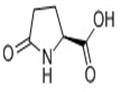 	L-Pyroglutamic acid