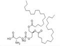 Phosphatidylserine