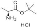 tert-Butyl L-alaninate hydrochloride