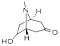 (+/-)-exo-6-Hydroxytropinone pictures
