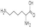 DL-Lysine