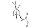 	Isobornyl acrylate