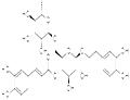 FORSYTHOSIDE A