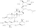 Notoginsenoside R1